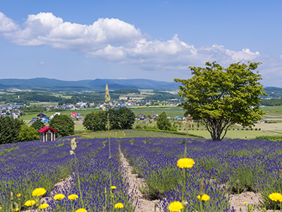 富良野ゲストハウスのイメージ