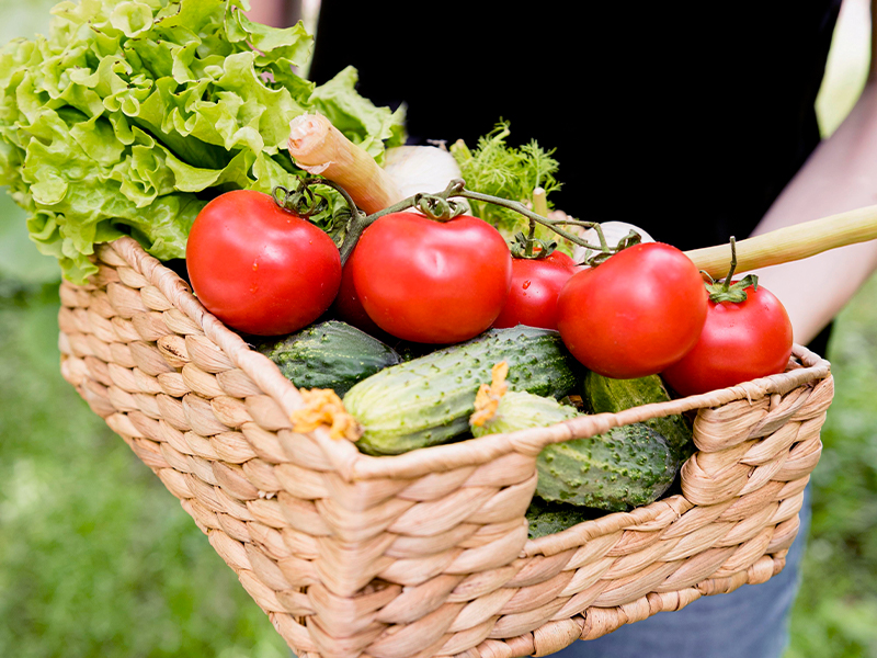 アグリスのニュース紹介